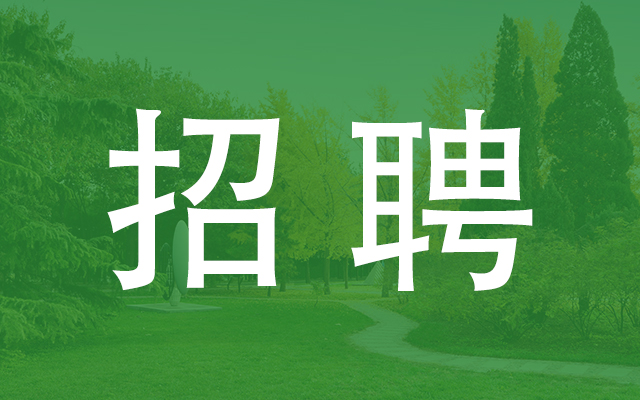 养护岗